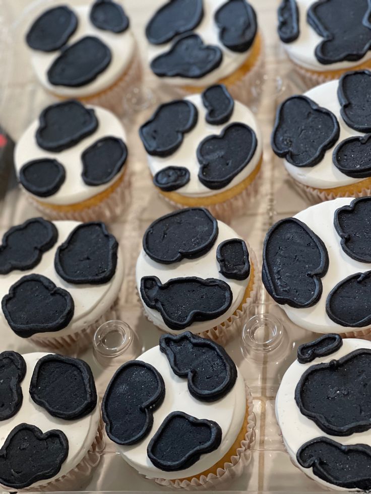 cupcakes decorated with black and white frosting