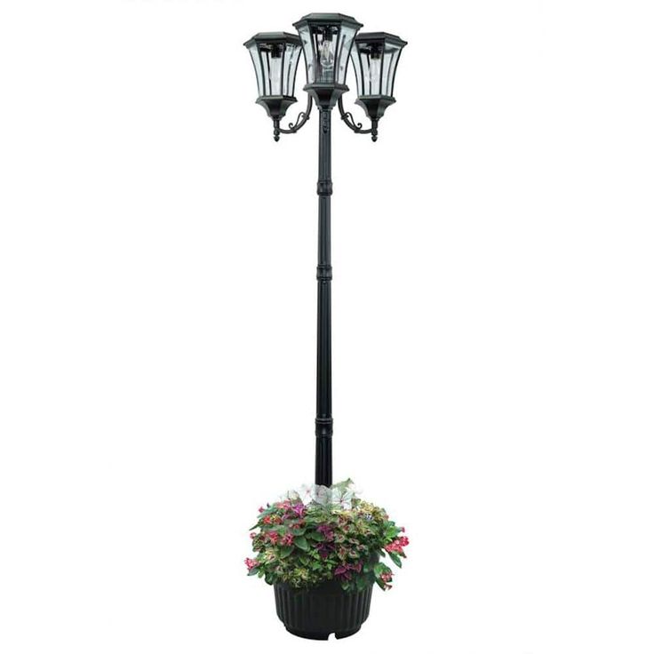 a lamp post with flowers growing in it