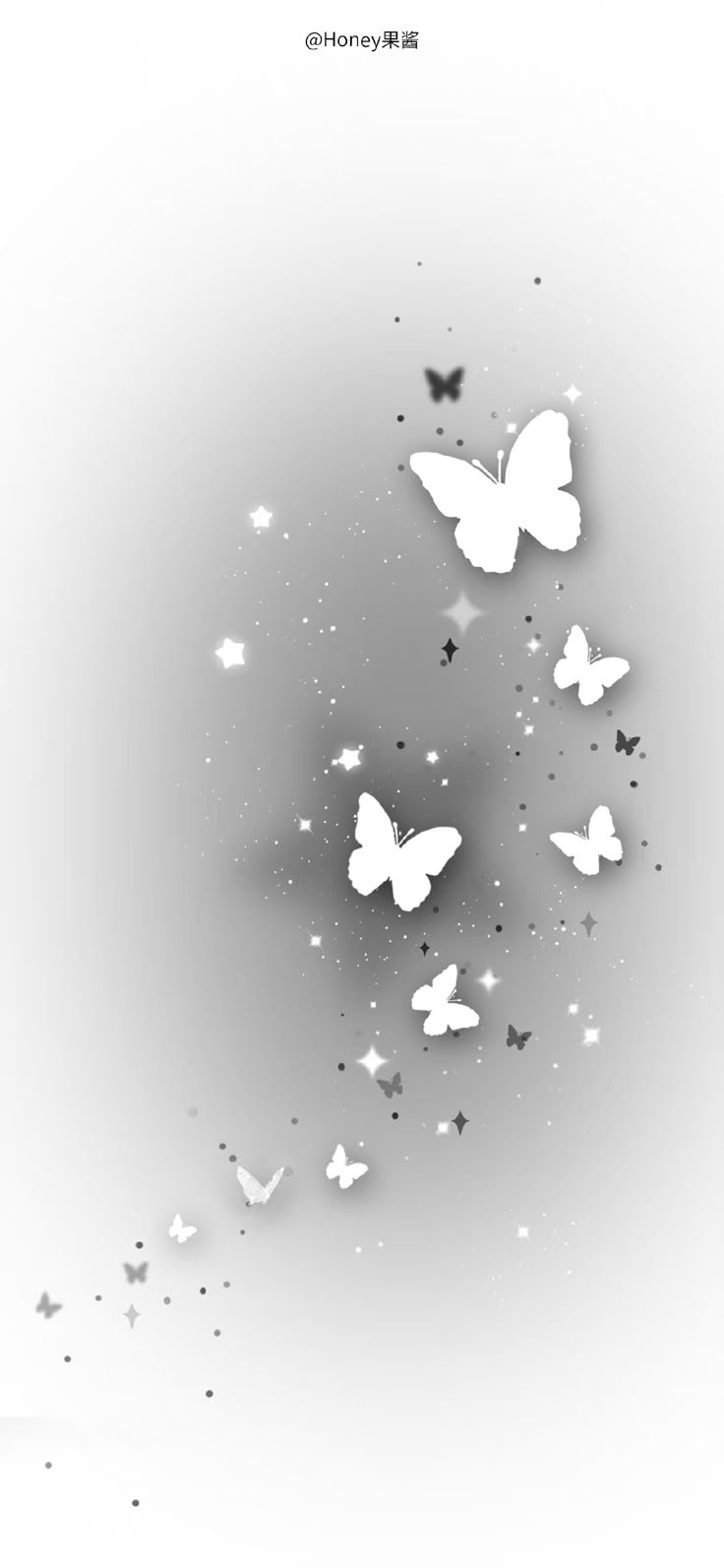 black and white butterflies flying in the air