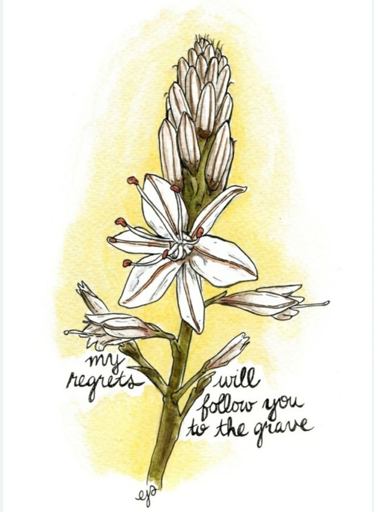 a drawing of a white flower with the words, you will never know what is in the