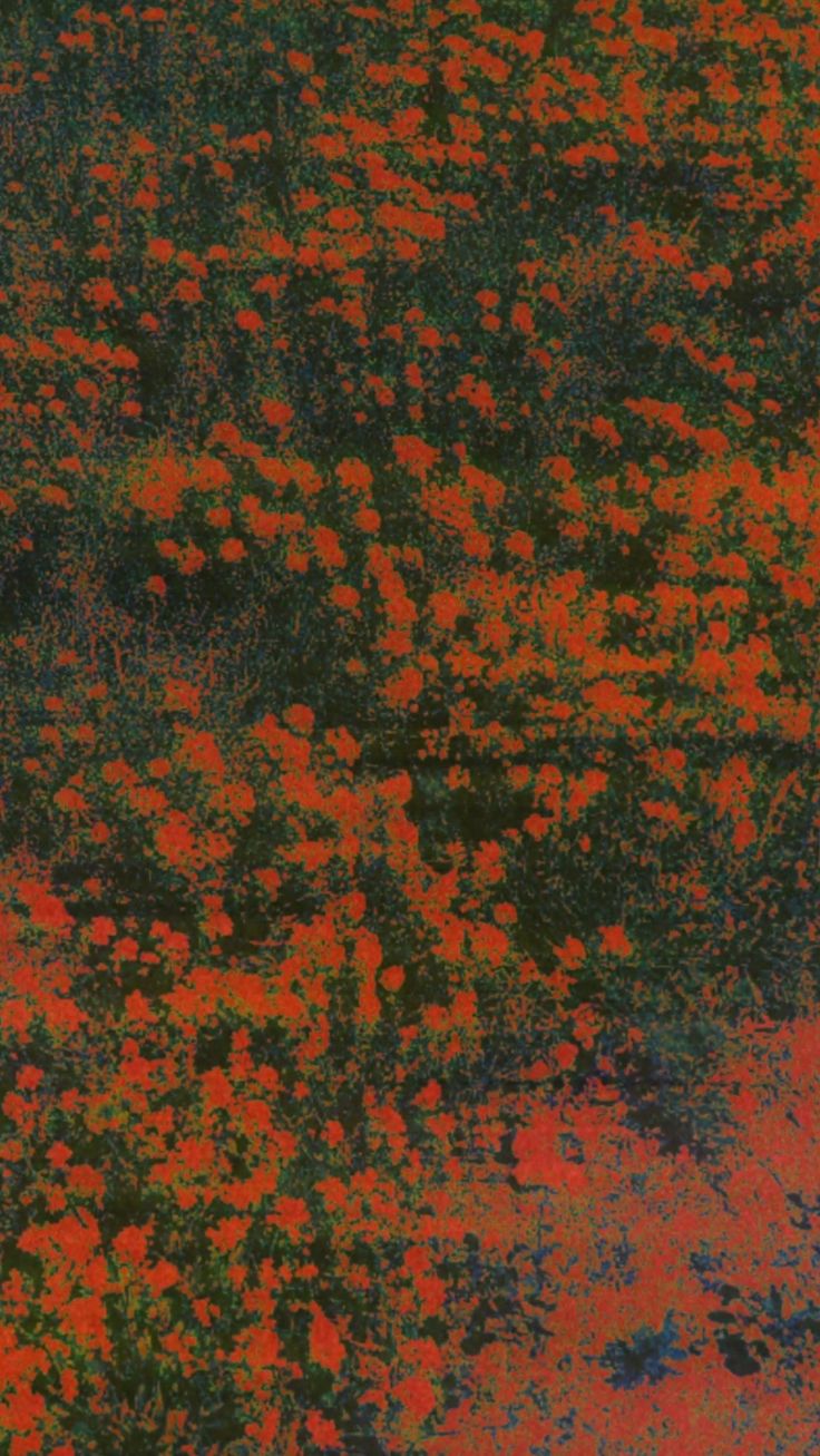 an orange and green field with flowers in the foreground