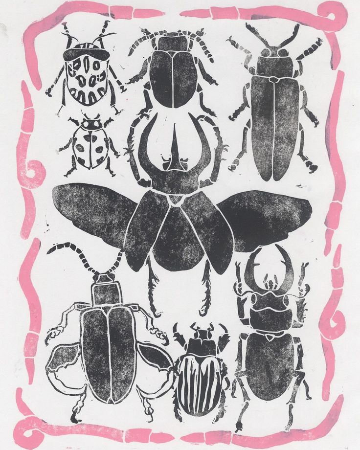 "bugs!" - print 2/3 worms have become a bit of an accidental muse for me lately—almost all of my projects this semester featured them at least once! 🪱 ——— #art #artist #artistsofinstagram #artistsofig #artistsunder1k #artistsunder5k #traditionalart #artmedium #lino #linocut #linoprint #linoprinting #linoprints #linoprintmaking #printmaker #printmakersofinstagram #printmakingprocess #reliefprint #worms #worm #beetles #rhinobeetle #stagbeetle #entomology #bugs #bugart Dragonfly Lino Print, Insect Block Print, Insect Lino Print, Bug Block Print, Bug Lino Print, Bug Linocut, Beetle Linocut, Beetle Stamp, Bug Doodles