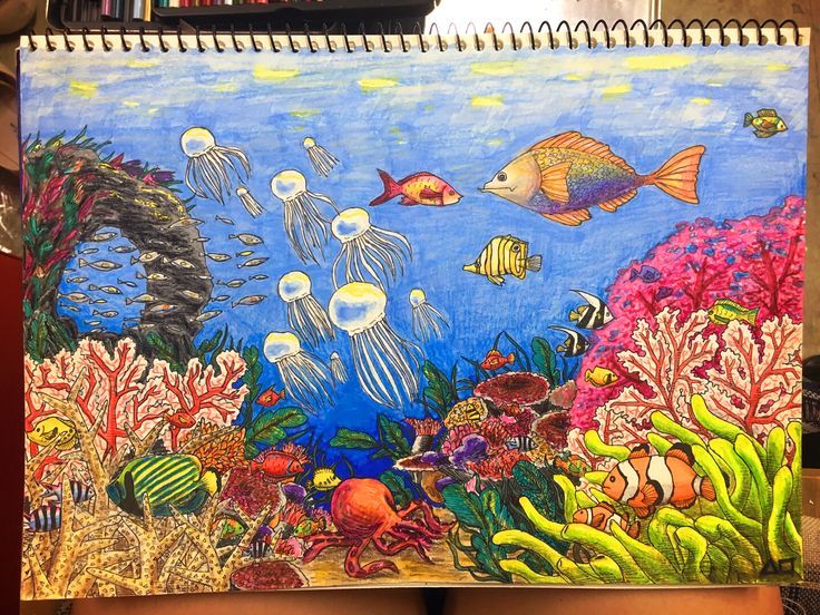 a drawing of an underwater scene with fish and corals on the bottom right side