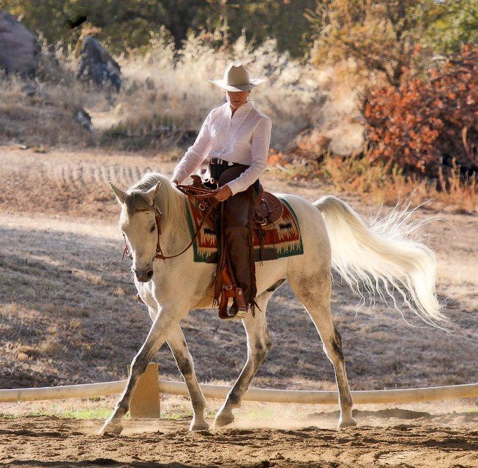 a man riding on the back of a white horse across a dirt field with trees in the background