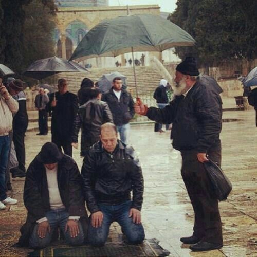 several people standing in the rain with umbrellas and one person sitting on a bench