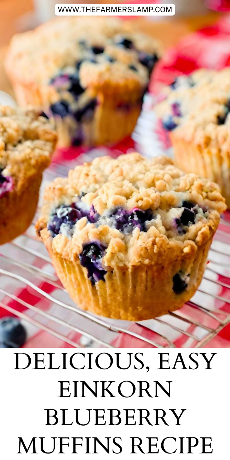 blueberry muffins on a cooling rack with the words delicious, easy, and quick