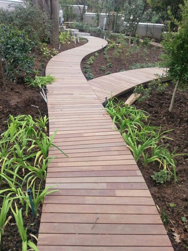 a wooden walkway surrounded by plants and trees