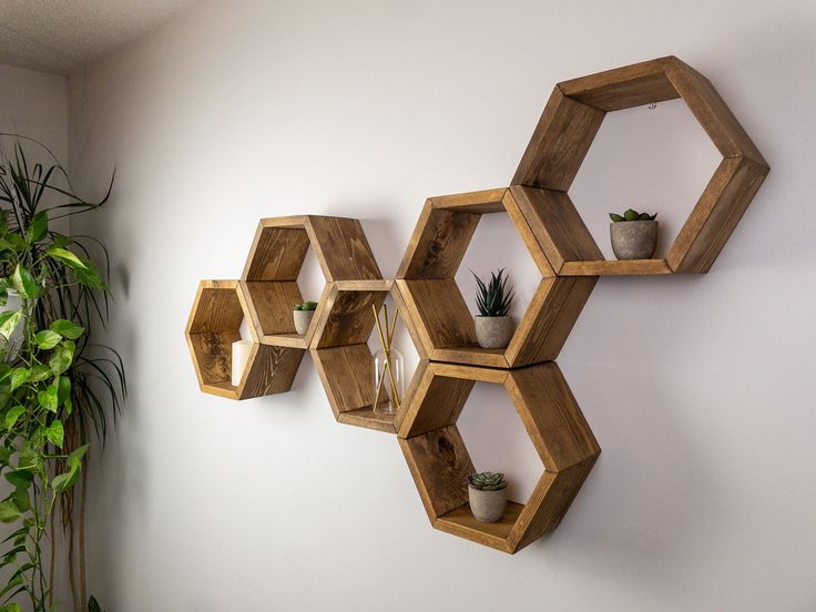 three wooden hexagonal shelves are hanging on the wall next to a potted plant