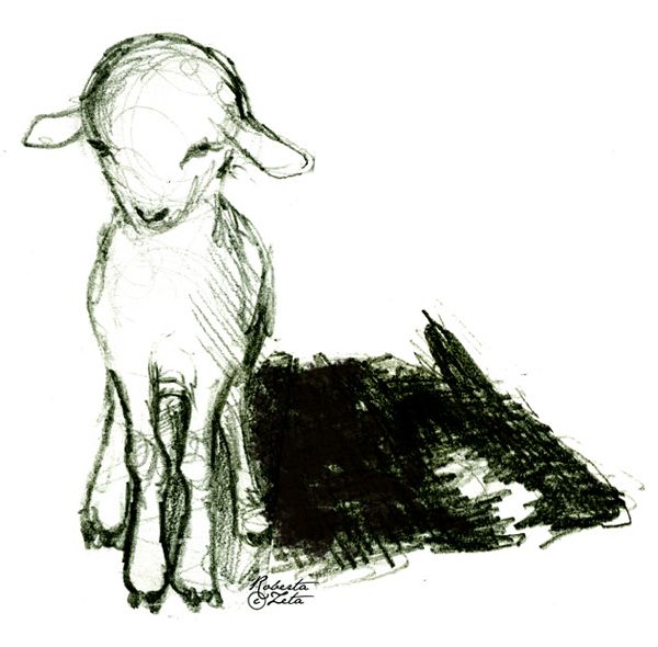 a black and white drawing of a sheep standing next to a piece of paper that is laying on the ground