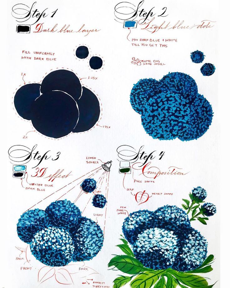 an image of blue flowers on a white background with instructions for how to use them