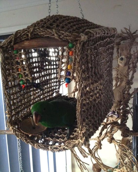 a green bird sitting on top of a cage next to a tree branch and window