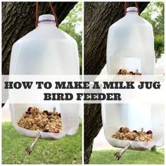 three pictures showing how to make a milk jug bird feeder with granola in it