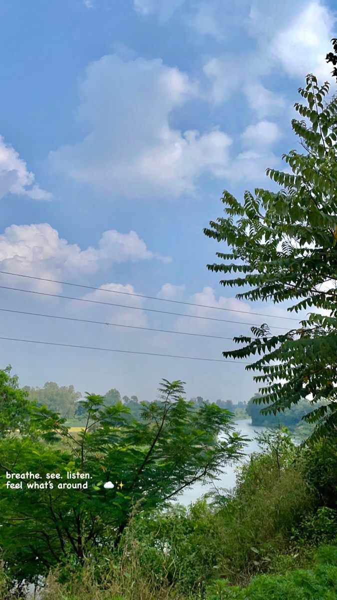 there is a bench that is sitting on the side of a hill near some trees