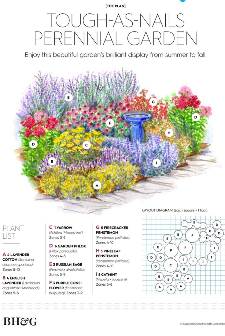 an illustrated garden with flowers and plants in the center, surrounded by words that read tough - nails perennial garden