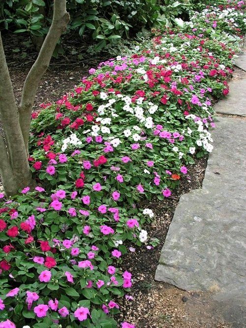 many different colored flowers are growing along the side of a sidewalk in front of some trees