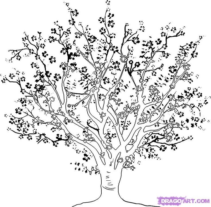 a drawing of a tree with lots of leaves and flowers on it's branches