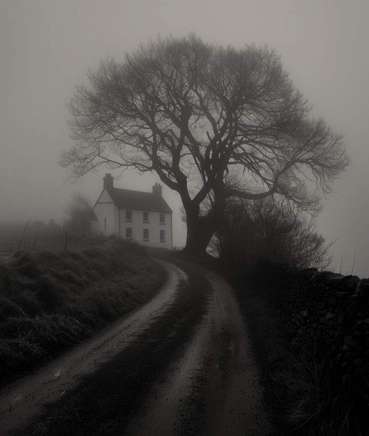 a white house sitting on the side of a road next to a tree in the fog