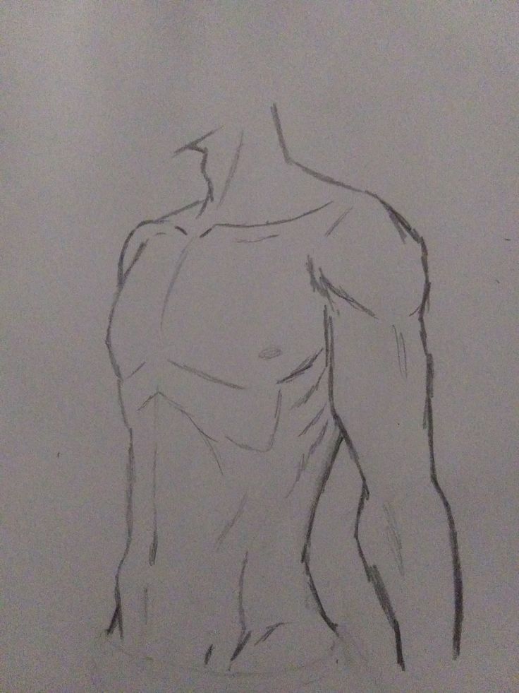 a drawing of a man's torso is shown