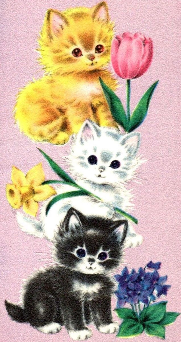 three kittens and two flowers on a pink background