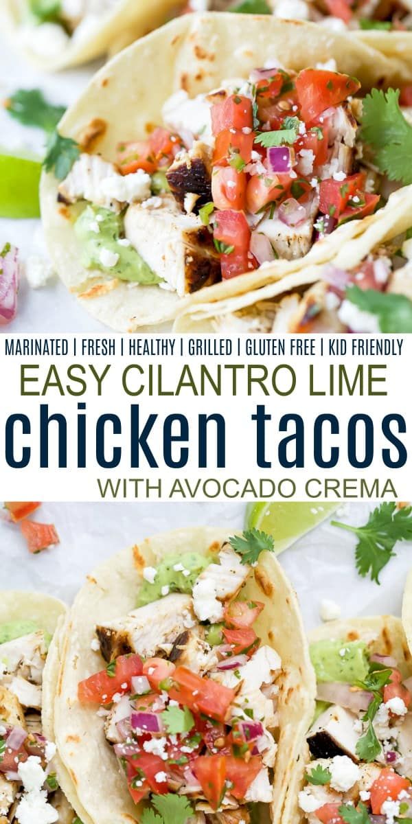 chicken tacos with avocado and cilantro on top