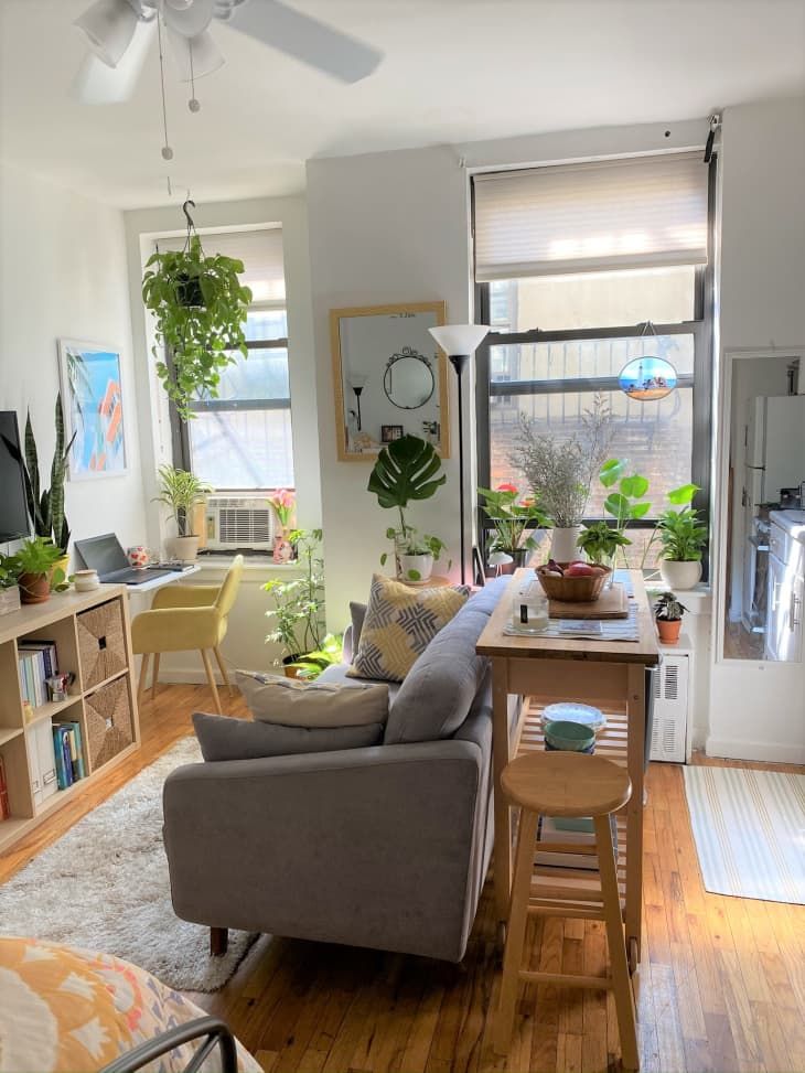 a living room filled with furniture and lots of plants on top of it's windowsill