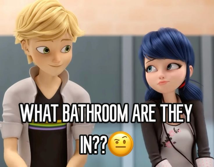 two cartoon characters with the caption what bathroom are they in?