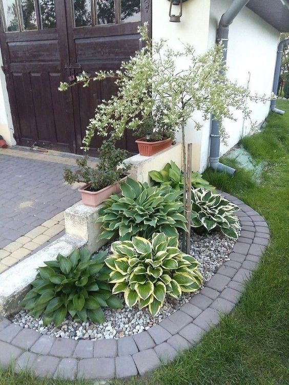 some plants are in pots on the side of a house and there is a brick walkway leading to it