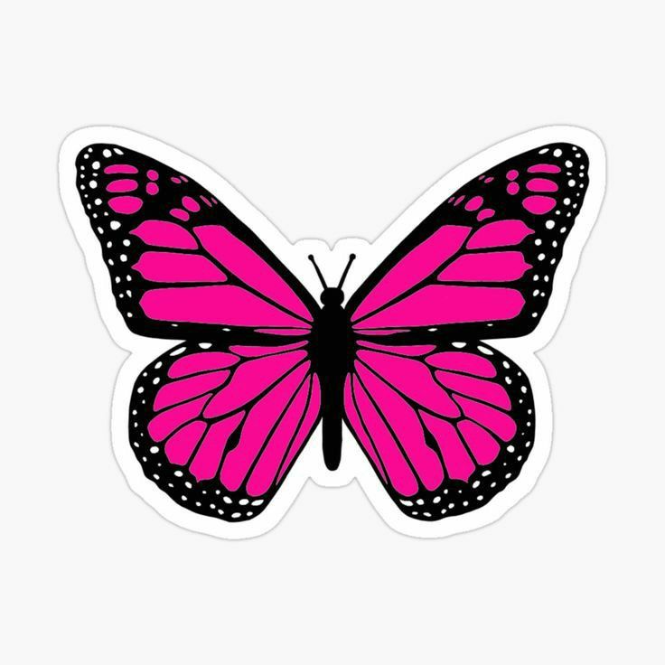 a pink butterfly with black spots on its wings