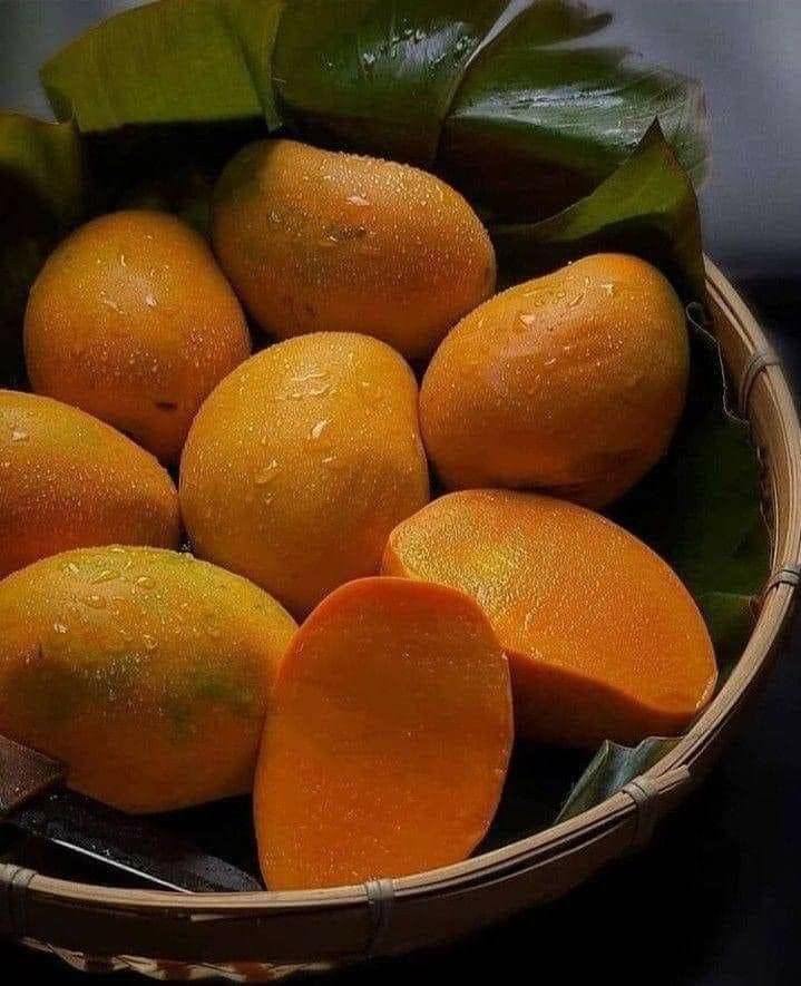 a basket filled with lots of oranges on top of a wooden table next to green leaves