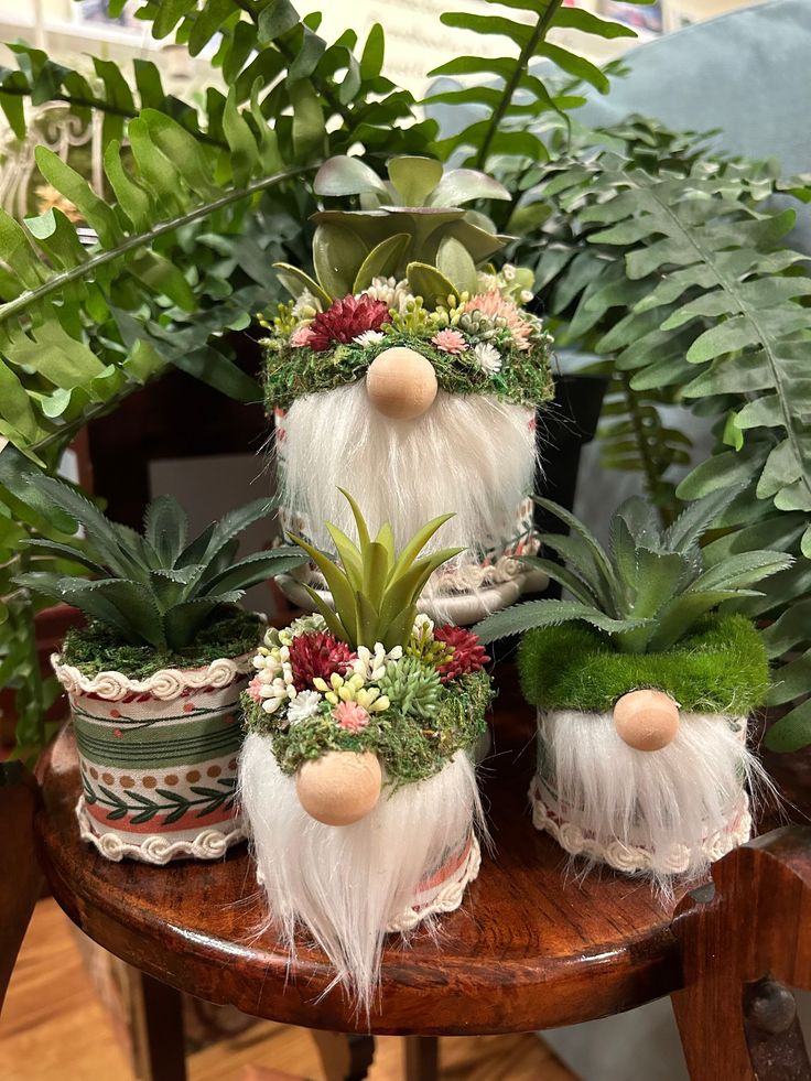 some plants and gnomes are sitting on a table