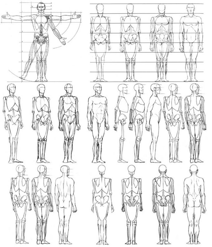 a bunch of sketches of people standing in different positions and sizes, all with their hands on their hipss