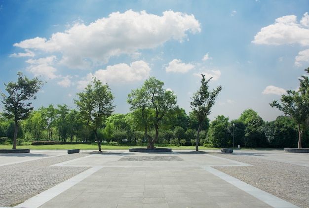 an empty concrete parking lot with trees in the middle and blue sky above it, on a sunny day