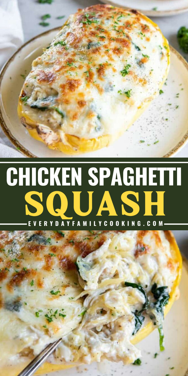 Looking for an enjoyable delicious dinner? This chicken spaghetti squash will satisfy your cravings! This easy recipe can be made in just 6 easy steps in 1 hour and 10 minutes. Save this pin and share this with your friends! Cheesy Chicken And Broccoli Stuffed Spaghetti Squash, Chicken And Broccoli Twice Baked Spaghetti Squash, Spaghetti Squash Chicken Lasagna, Chicken Spaghetti With Spaghetti Squash, Ground Chicken Spaghetti Squash Recipes, Chicken Alfredo Spaghetti Squash Recipes, Chicken And Broccoli Spaghetti Squash, Paleo Chicken Spaghetti Squash, Chicken Broccoli Alfredo Spaghetti Squash