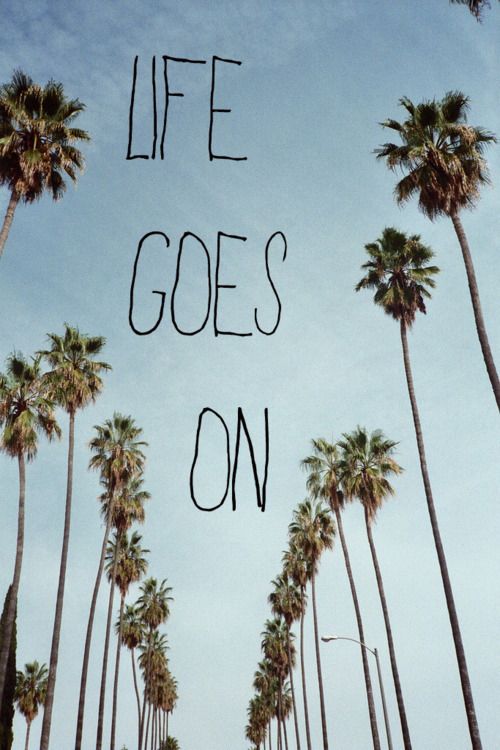 palm trees with the words life goes on