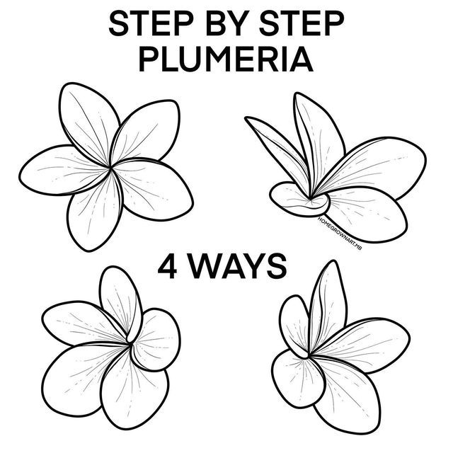 four flowers with the words step by step plumeria written below them in black and white