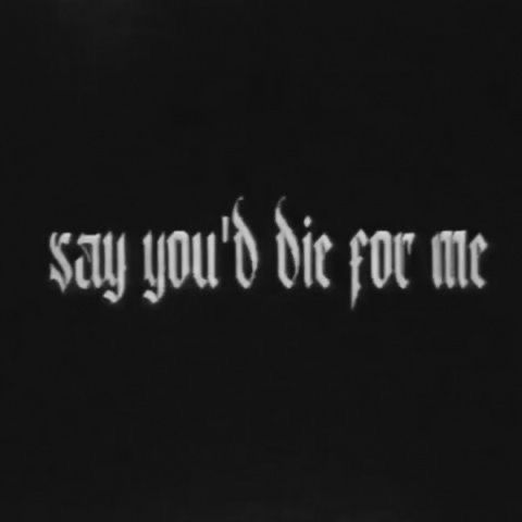 the words say you'd die for me are projected in white on a black background