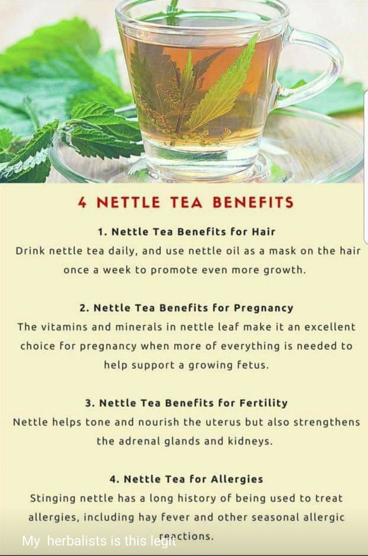 Nettle Tea Benefits, Nettle Tea, Nettle Leaf, Tomato Nutrition, Calendula Benefits, Coconut Health Benefits, Stomach Ulcers, Benefits Of Coconut Oil, Tea Benefits