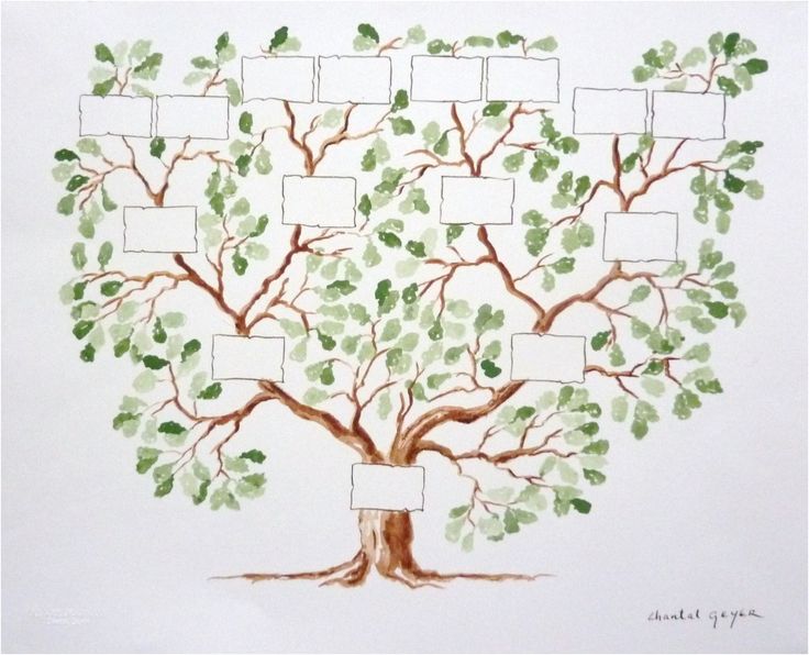 a family tree is shown with four frames on the top and bottom branches, as well as leaves