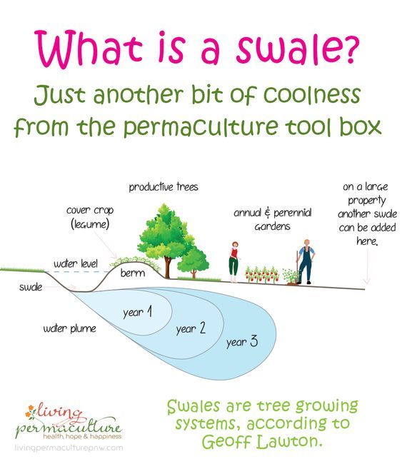 what is a swale? just another bit of coolness from the permaculture tool box