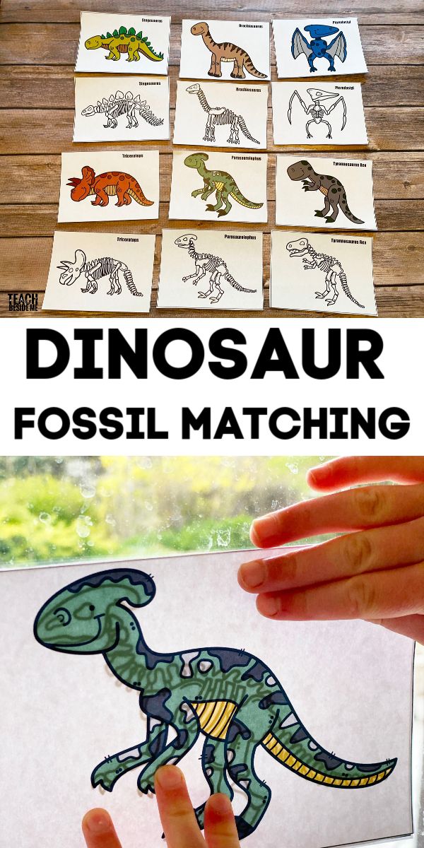 dinosaur fossil matching activity for kids to learn how to draw and color with their hands