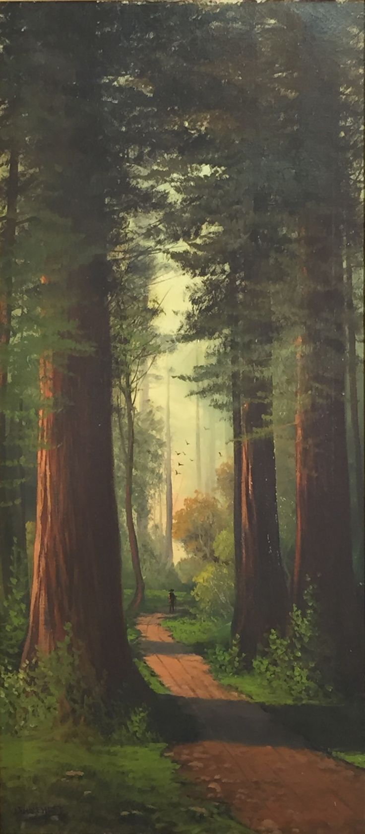 a painting of a path in the middle of a forest with lots of tall trees