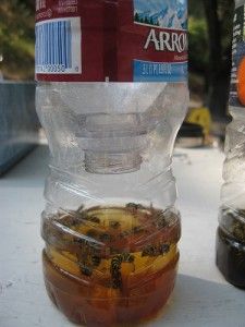 two plastic bottles filled with food sitting on top of a table