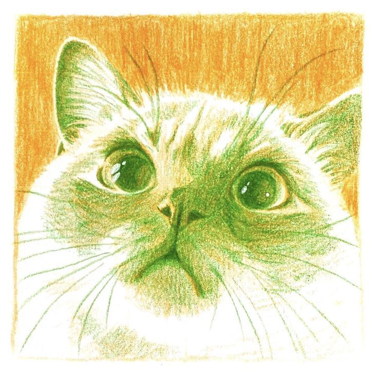 a drawing of a cat with green eyes