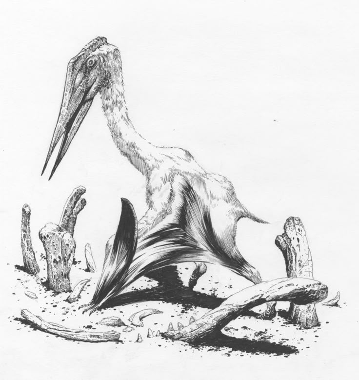 A WALK IN THE AZDARCHID... by SharkeyTrike on DeviantArt Azhdarchidae is a family of pterosaurs known primarily from the late Cretaceous Period. Azhdarchids included some of the largest known flying animals of all time. Originally considered a sub-family of Pteranodontidae, Nesov (1984) named the azhdarchinae to include the pterosaurs Azhdarcho, Quetzalcoatlus, and "Titanopteryx" (now known as Arambourgiania).