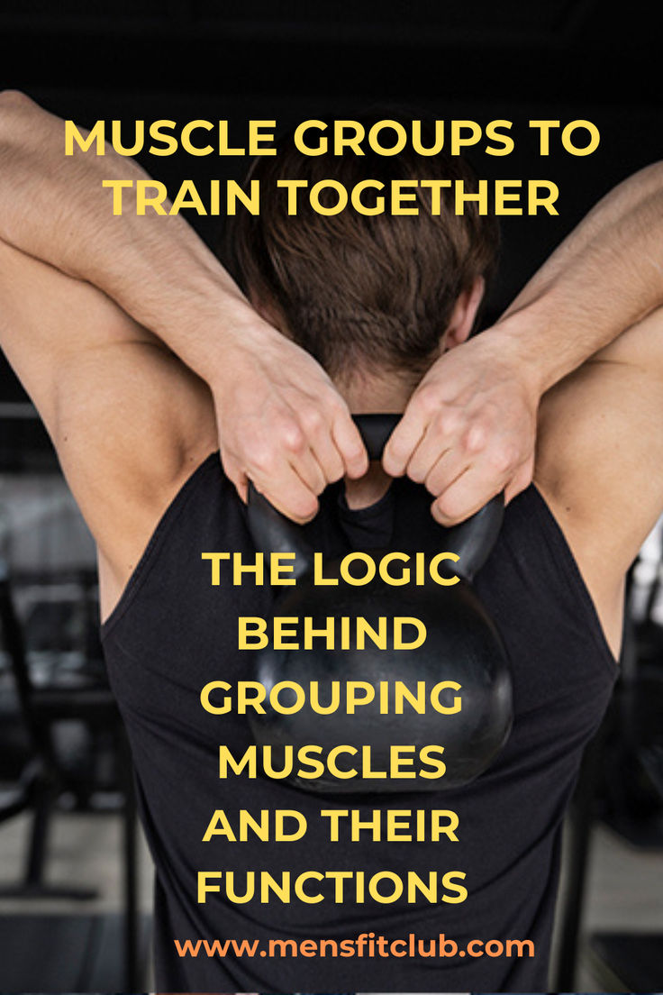 Graphic highlighting muscle groups that are ideal to train together in a workout routine. The visual pairs major muscle groups like chest and triceps, back and biceps, and legs with shoulders, showing how these combinations maximize workout efficiency and muscle growth. Each pair is accompanied by recommended exercises, such as bench presses for chest and triceps or deadlifts for back and biceps. Perfect for those looking to optimize their training sessions by targeting muscle groups. Workout Muscle Groups, Muscle Groups To Workout Together, Workout Schedule For Men, Workout Schedule For Women, Muscle Groups To Workout, Workout Muscle, Muscle Building Workouts, Workout Schedule, Training Day