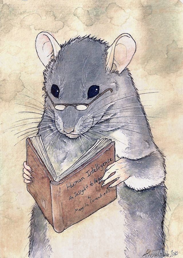 a drawing of a rat holding a book with the caption happy birthday to you