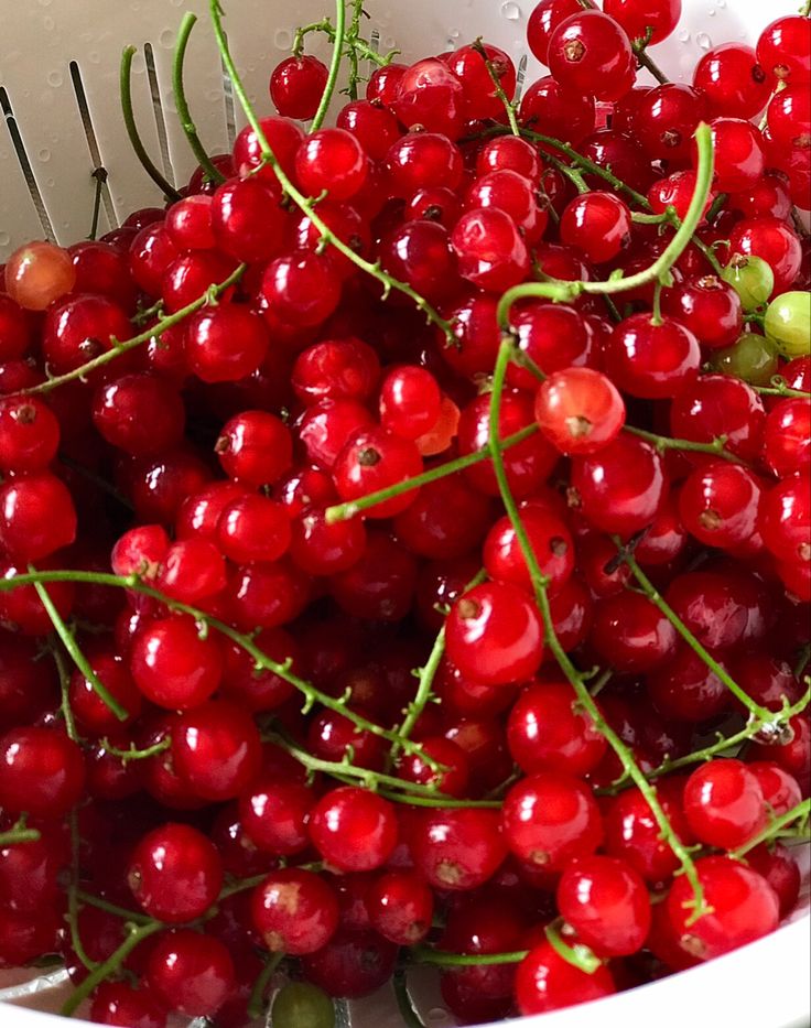 a white bowl filled with lots of red cherries