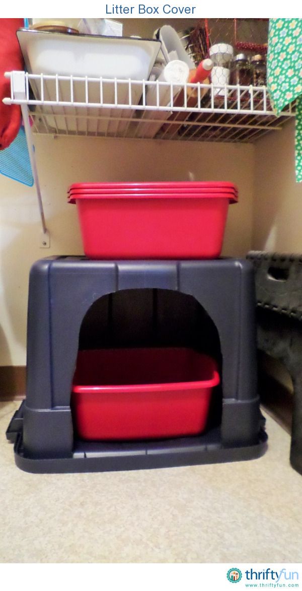 there is a small oven with two red bowls on it and a black dog in the background