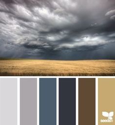 a field with storm clouds in the sky and color swatches on each side, including brown