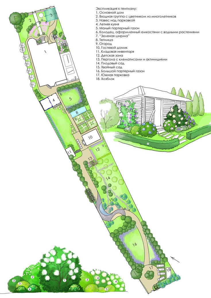 a plan for a garden with lots of trees and plants on it, including the ground